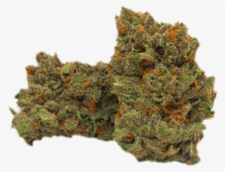 Jack Herer - Scale Model