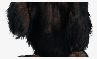15 Monkey Png For Free Download On Mbtskoudsalg - Icon