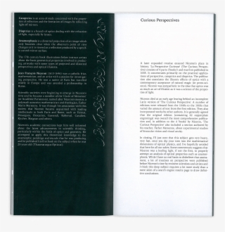 Gianluca Lonigro Arde Fanzine - Document
