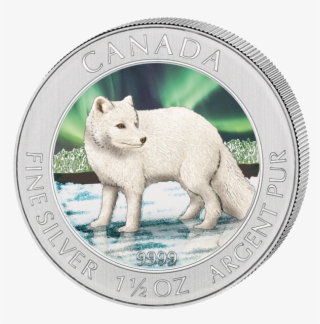 5 Oz Silver Coin - Coin