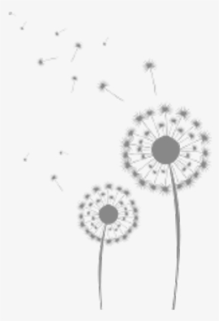 dandelions image - illustration