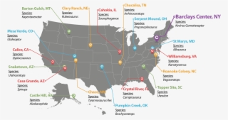 Kevingarnett Jurassic Map2 - Estados Unidos Mapa Negro Png