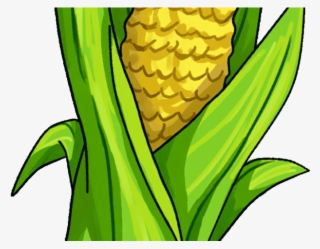 Corn Clipart Husking - Corn Animated