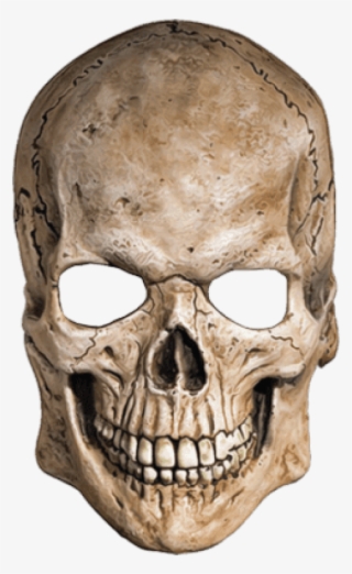 Free Png Download White Mask Skull Png Images Background - Skull Png