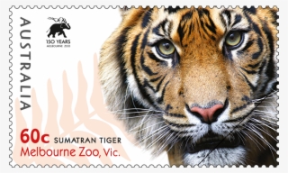 Favourite Stamp From - Wildlife Heritage Foundation