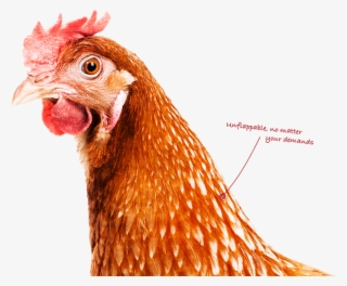 Think Performance - Slepice
