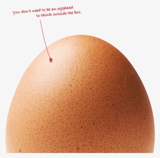 Think Knowledge - Egg