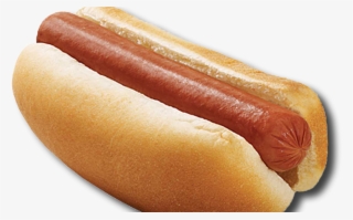 Hot Dog - Thot Dogs