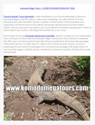 Pdf - Alligator Lizard