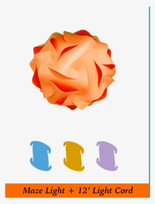 Orange Infinity Light - Garden Roses