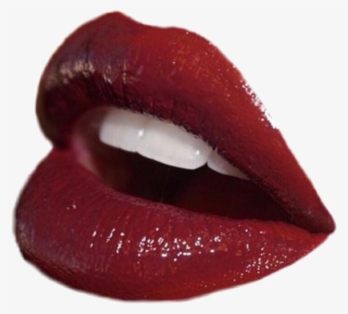 Red Sticker - Lip Gloss