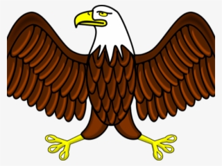 White Tailed Eagle Clipart Usa Eagle - Eagle Clipart