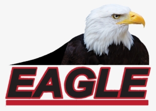 Eagle Auto Body - Bald Eagle