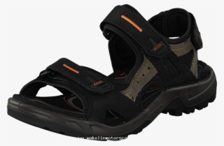 Ecco Offroad M Black/ Mole/ Black 55170-01 Mens Leather - Sandal