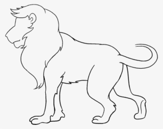 How To Draw Lion - Lion Drawing Images Easy