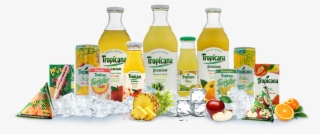 Juices - Plastic Bottle