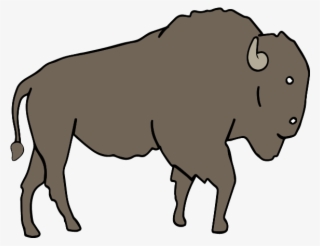 Cave Lion