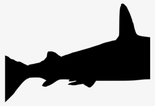 hammerhead shark clipart sharks and minnow - shark
