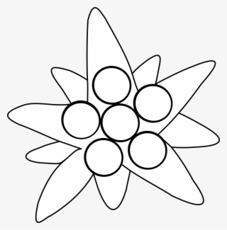 Edelweiss Png - Edelweiss Clipart