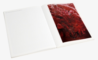 Damien Hirst Beyond Belief Signed Catalogue - Sketch Pad