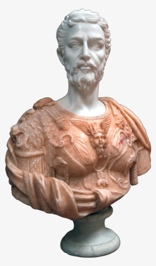 Home / Busts / Busts - Bust