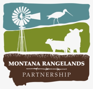 Montana Rangelands Partnership - Illustration