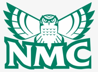 Nmc Hawk Owl - Nmc Hawk Owl Png