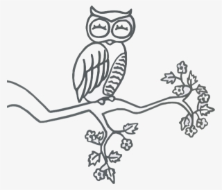 Owl On A Branch Clipart Black And White