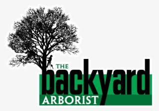The Backyard Thebackyardarboristweb Your Full Service - Arborist Logos