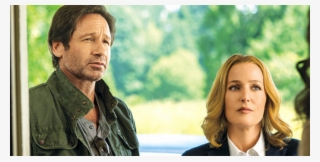 During The Gotham And Minority Report Airings, Fox - X Files Saison 12