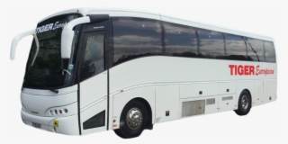 Tiger European Is A Minibus, Coach, Van And Wedding - Tour Bus Service