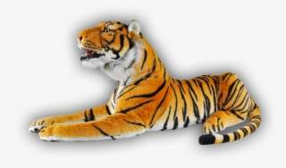 Animal Pel Cia Selvagem Fafa Importadora Descrio - Siberian Tiger