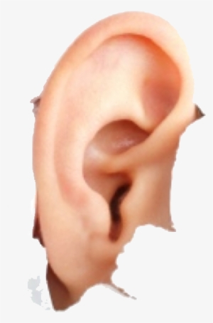 Ear Png - Hyperacusis Ear Plugs