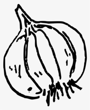 Doodle-garlic - Garlic