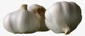 Garlics Png Image - 蒜 Png
