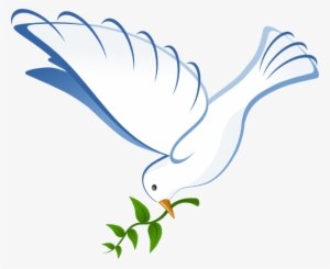 Dove Clip Art Png - White Dove
