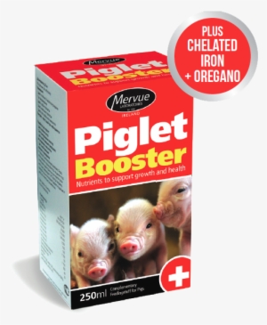 Piglet-booster - Product