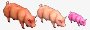 Hafen-pig - Pig