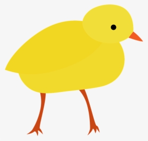 Easter Chick - Civciv Png