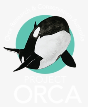 Project Orca - Killer Whale