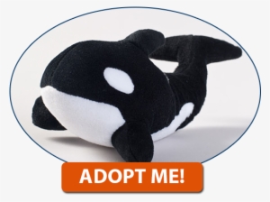 Click Here To Adopt An Orca Today - Marine Conservation