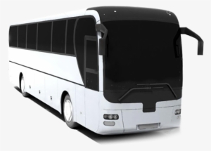 Motorcoach Services From National Charters - Bus