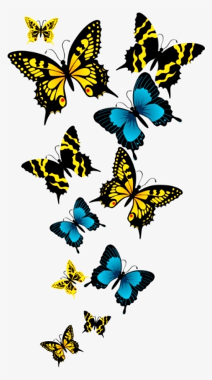 Clipart Resolution 732*812 - Beautiful Butterfly Png File