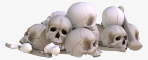 Skull - Picsart Skulls Png