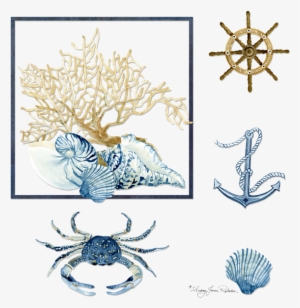 Click And Drag To Re-position The Image, If Desired - Indigo Ocean Coral Nautilus Triton Scallop Shells Indigo