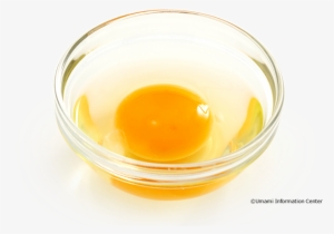 Egg Png Download Transparent Egg Png Images For Free Page 2 Nicepng - poached egg roblox wikia fandom powered by wikia