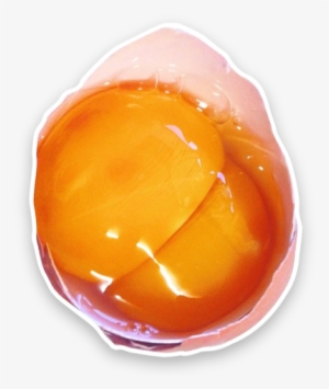 The Shell Forms Around Both Yolks And Results In A - Photograph