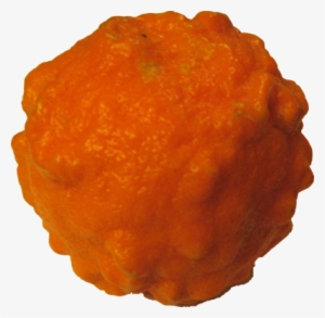 Food/ Fruit/ Orange Seville - Bitter Orange Png