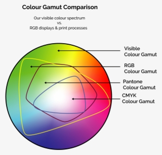 What Is The Difference Between Rgb And - Poule Pas De Tête