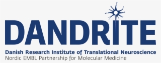 Png - Dandrite Aarhus Logo